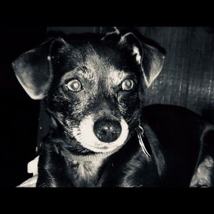 Meet your Posher, Janessa